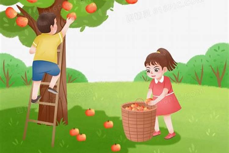 梦见情人和我在一起摘水果给我吃