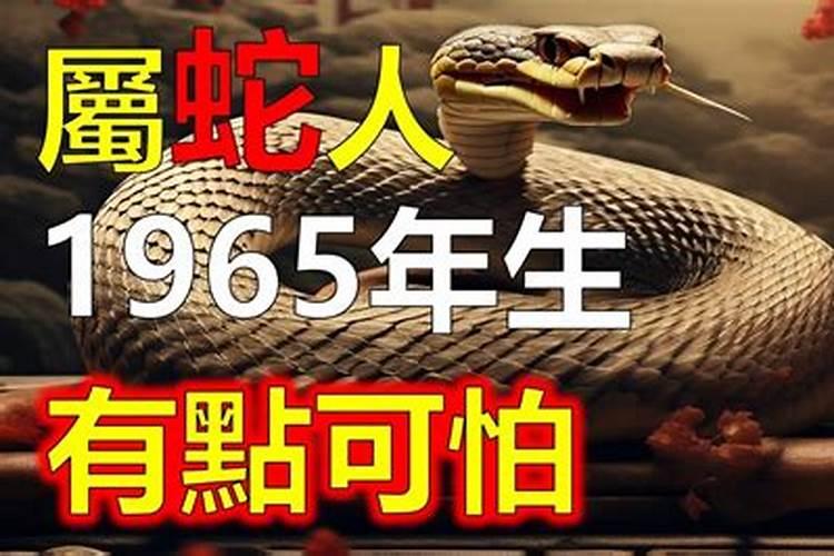 1965出生的蛇人在2026年的运程