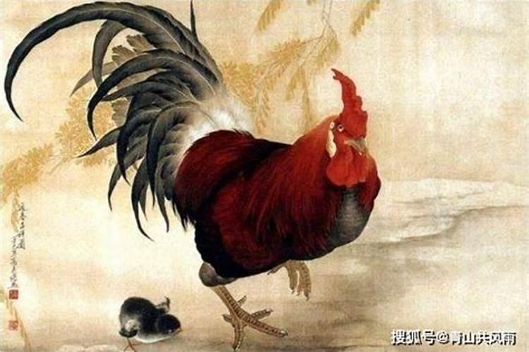 2026年属鸡人犯太岁化解方法