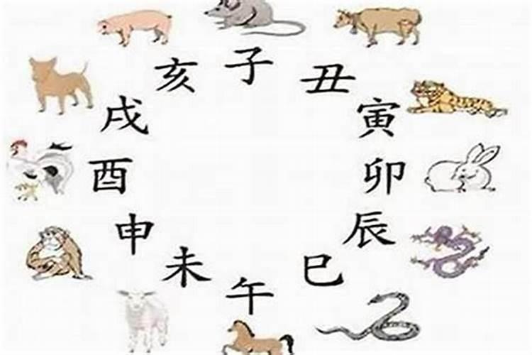属性猪和猴八字合吗？