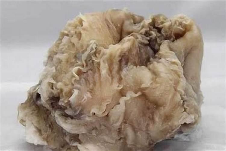 太岁到底是啥？