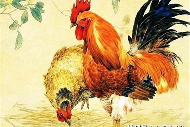 鸡年农历十月初一出生