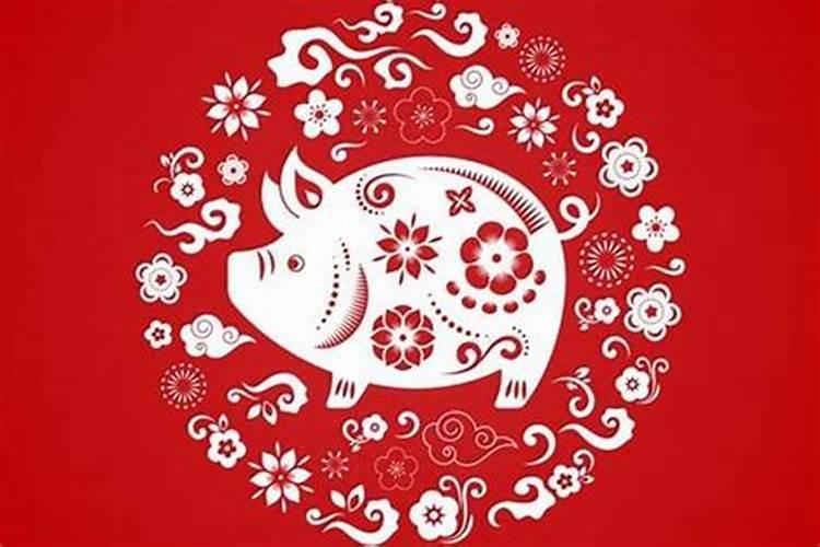 属猪的人今年怎么转财运？