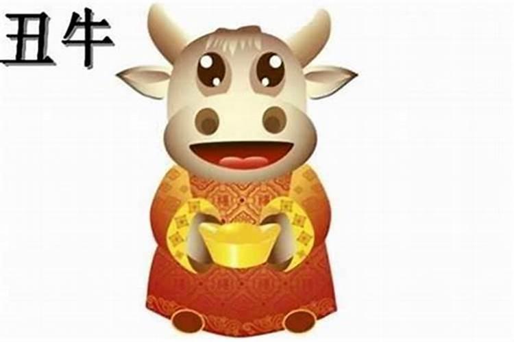 男人36本命年讲究