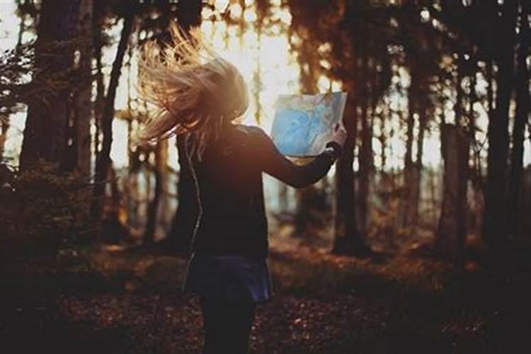 12生肖2026年运程董易林