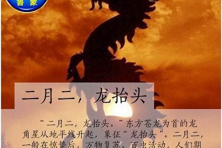 二月二龙抬头烟台人都去哪？