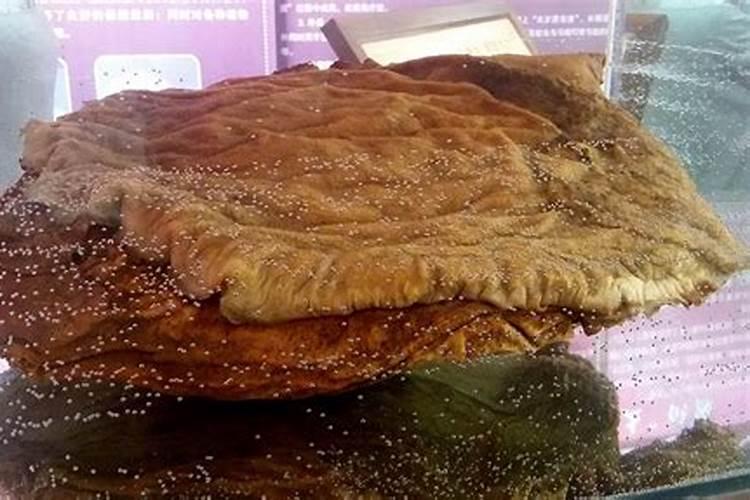 太岁肉灵芝的功效和作用