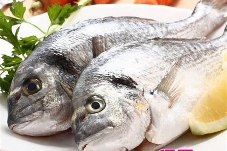 梦见别人吃鱼好不好？