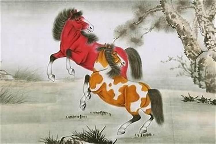 属马今年冲什么太岁？