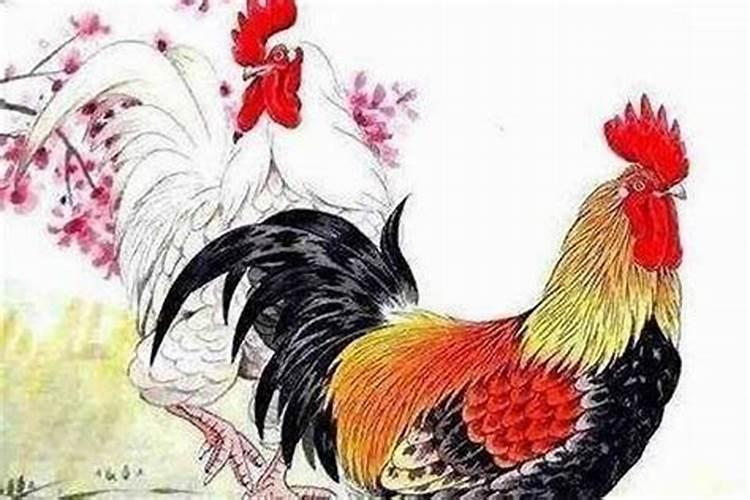 鸡适合什么属相婚配？