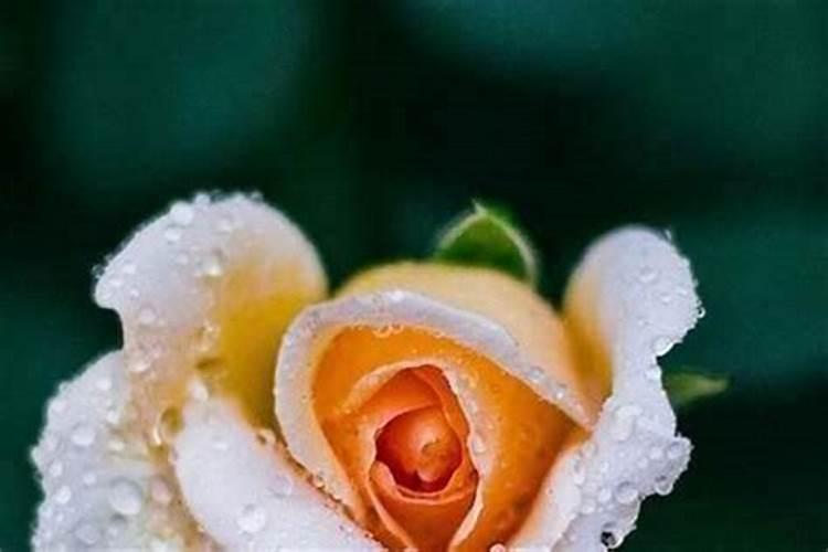 做法事需要时辰吗？