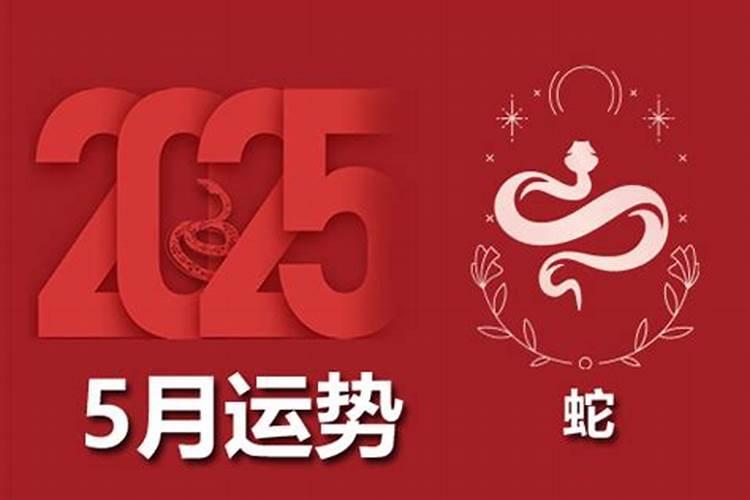 蛇肖2026年运程桃花运