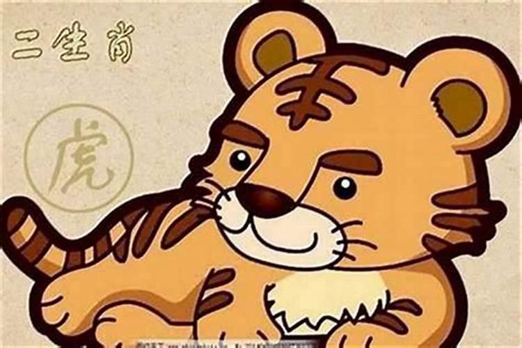 属虎的贵人和小人属相