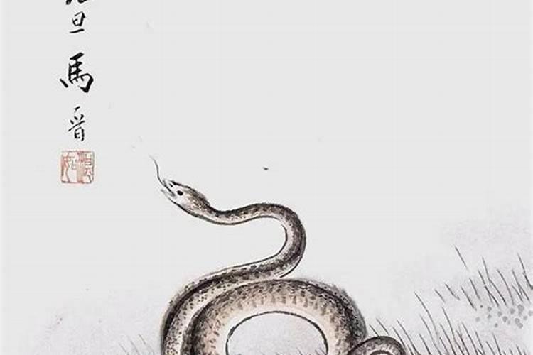 2026年生肖蛇犯小人不