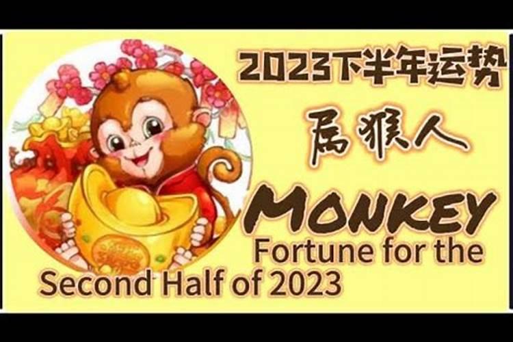 属猴2026下半年八字运程