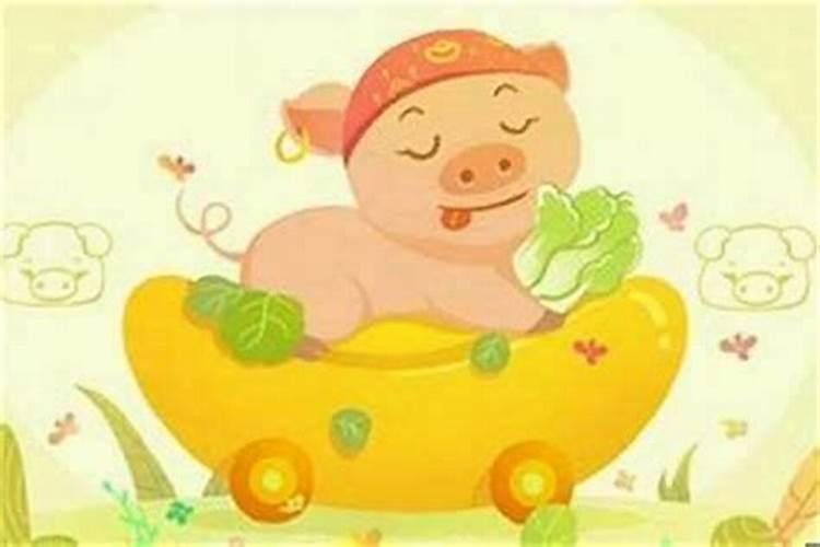 猪和什么属相婚配？