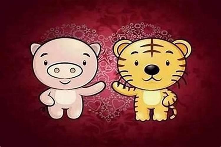 属猪男和属虎女八字合不合