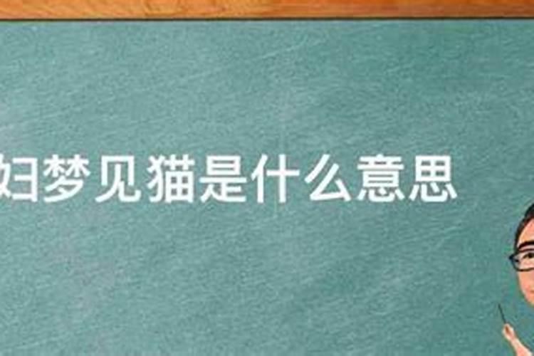 怀孕的人梦见猫是什么意思？