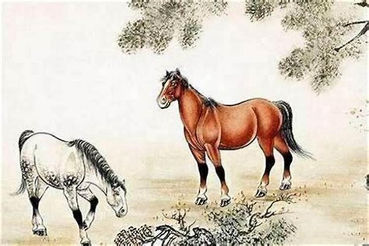 牛跟马可以合婚吗？