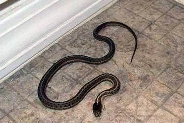 梦见别人打死蛇是什么意思？