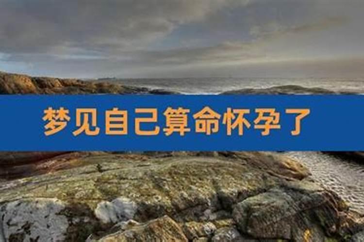 梦见怀孕的表妹离婚了佛滔算命