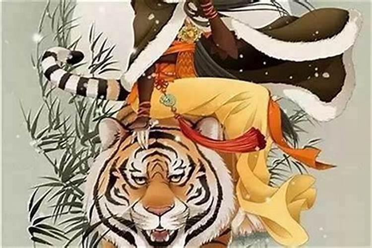 属虎的本命年犯太岁吗？