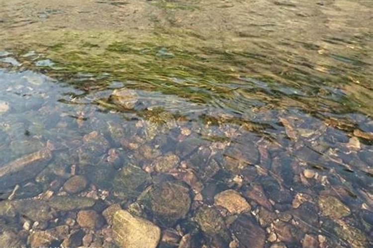 梦见洪水变清澈的水