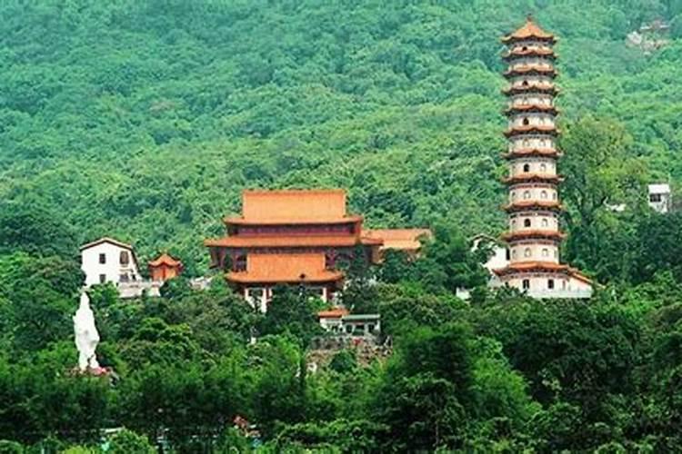 惠州有哪些大小年种类？