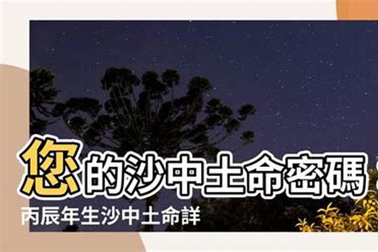 沙中土2026年运程