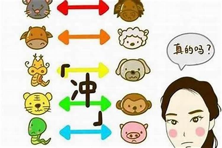 生肖不合八字合能结婚