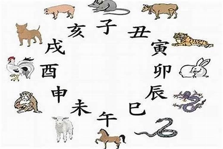 73年牛和76年兔合婚吗？