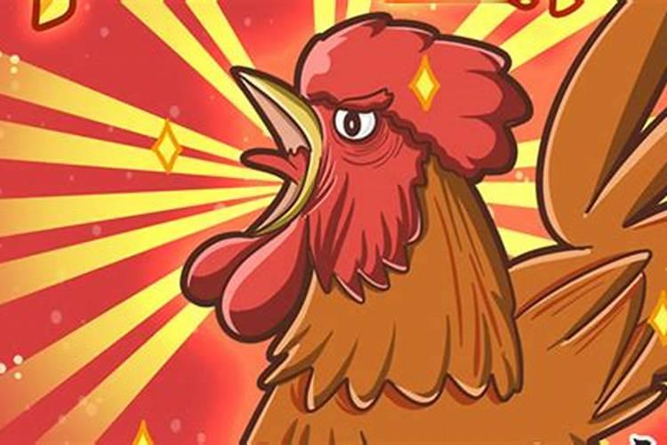 腊月出生的鸡不好吗？