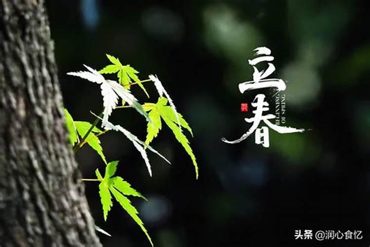 立春吃什么传统食物好运？