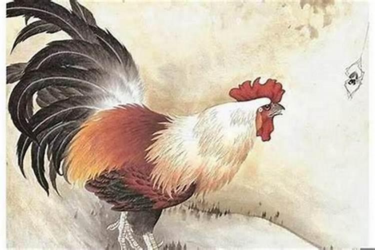 属鸡和属什么生肖的八字不合适？