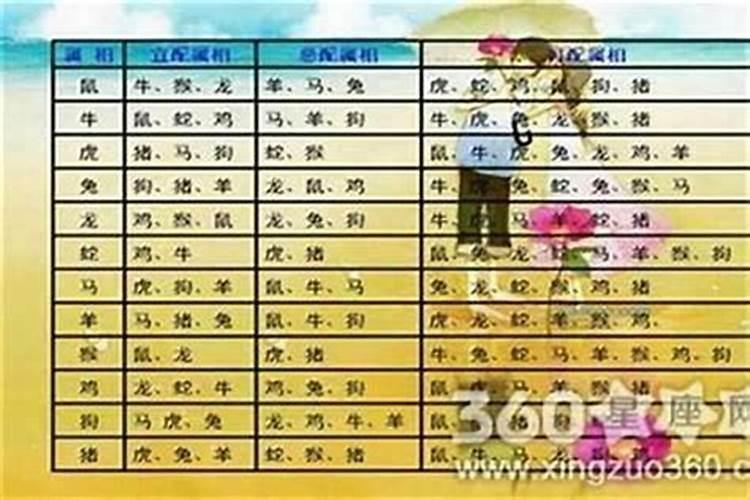 两千年和什么属相婚配最佳？