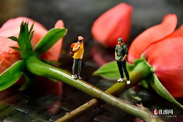 七夕节是哪一天送什么礼物？