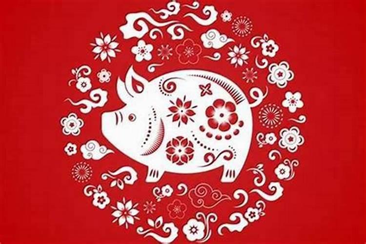 属猪明年感情运势