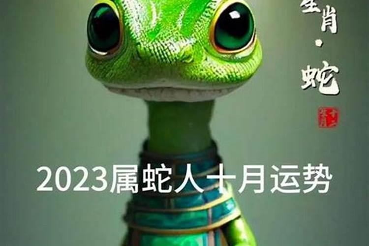 2026年蛇人6月运程如何？