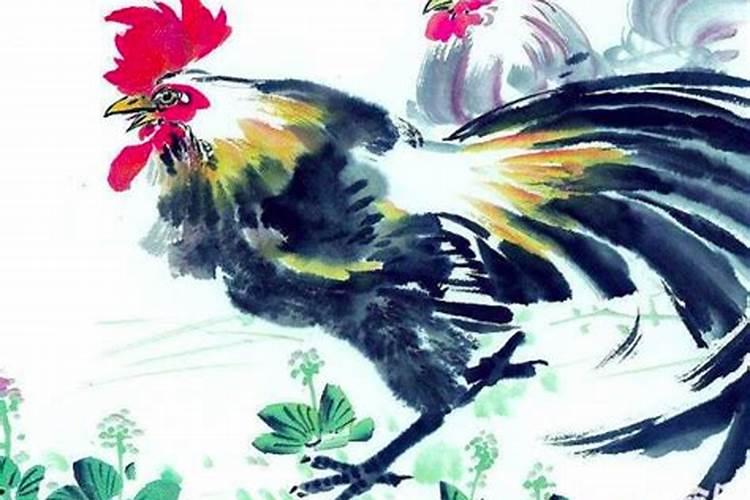 属鸡48岁运势怎么样？