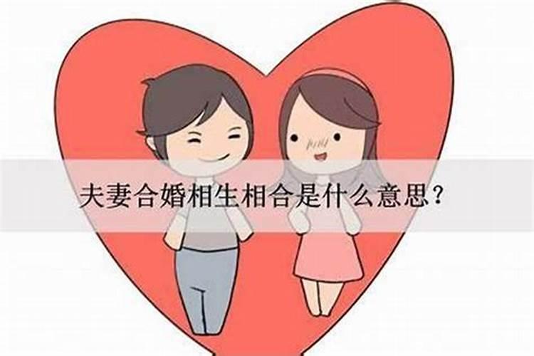 夫妻相合好什么意思？