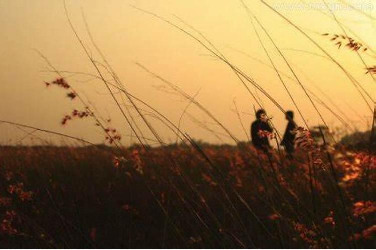 梦见双亲被杀是什么征兆？