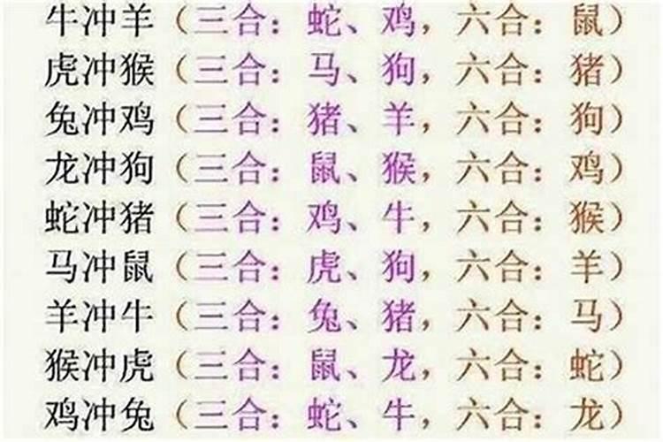 属相不合八字合可以结婚吗？