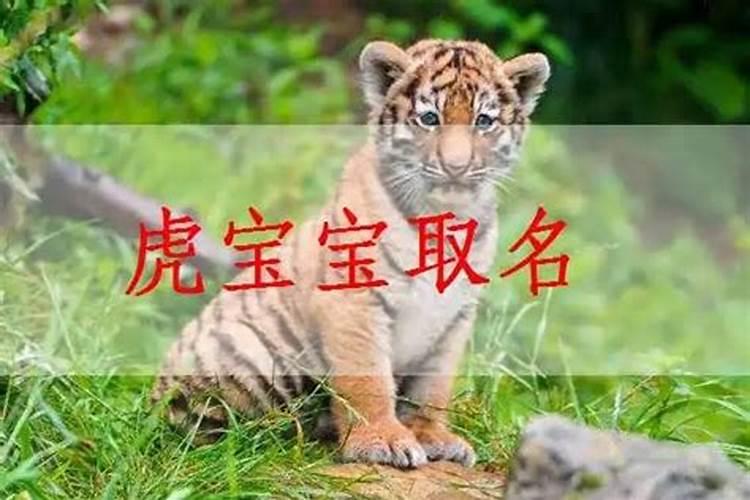 属虎宝宝取名宜用字