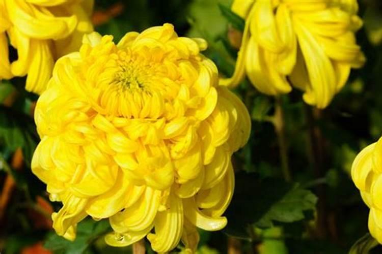 冬至过后还能祭扫吗？