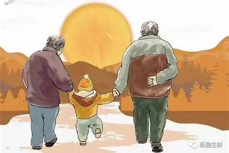 重阳节应该做什么？