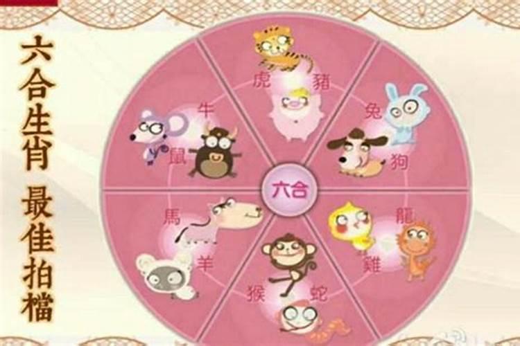 牛合婚的是哪个属相？