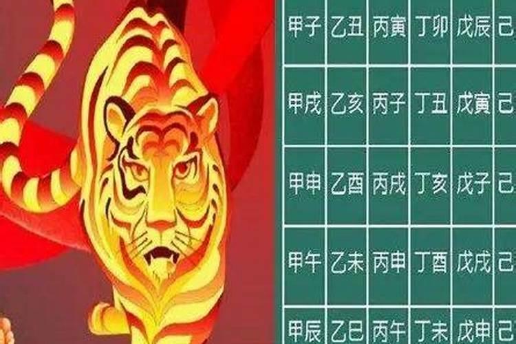 一九六二虎年运势如何？