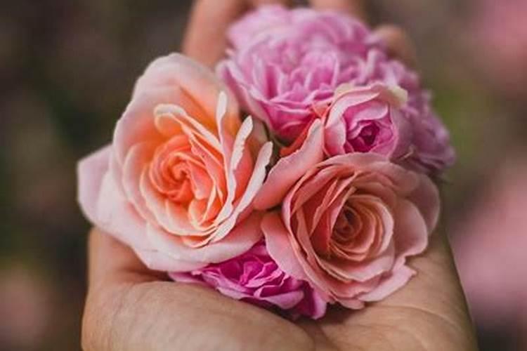 1977年出生的2026年的运程