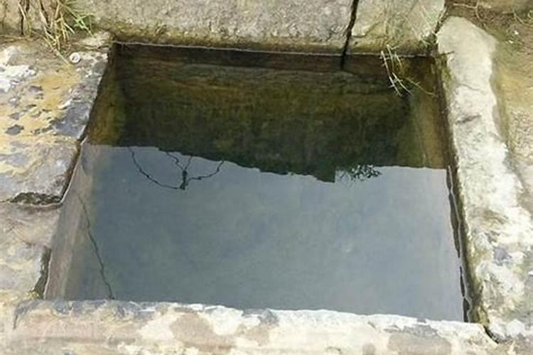 单身梦见水井是什么预兆？