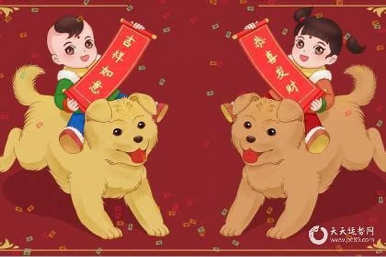 82年狗什么命？